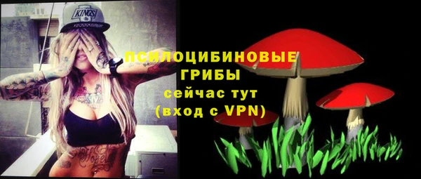 МДМА Горнозаводск