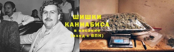 твердый Горняк