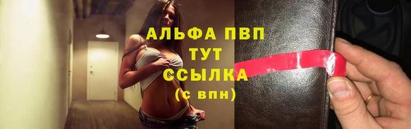 твердый Горняк