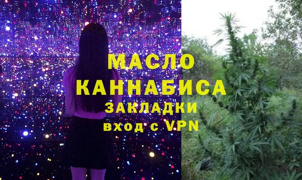 твердый Горняк