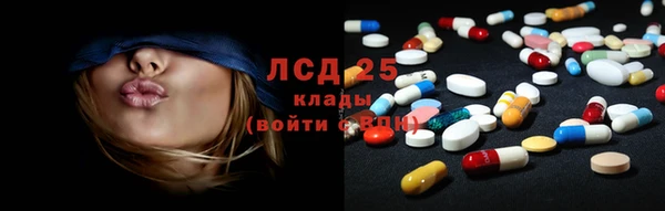 твердый Горняк