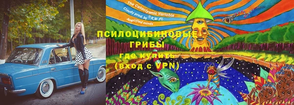 амф Горно-Алтайск