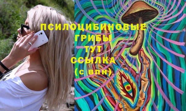 твердый Горняк