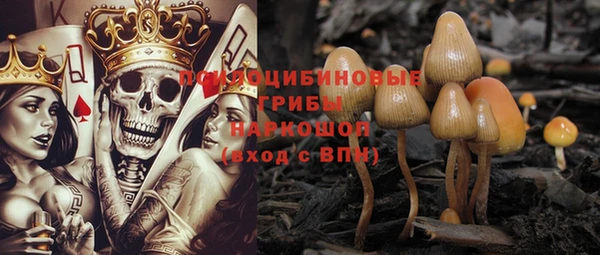 твердый Горняк