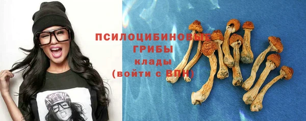 МДМА Горнозаводск