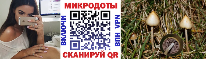 Псилоцибиновые грибы MAGIC MUSHROOMS  Нелидово 